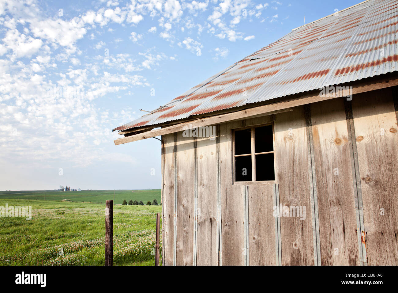 Old tin roof barn with green pasture and blue sky with clouds. graze ...