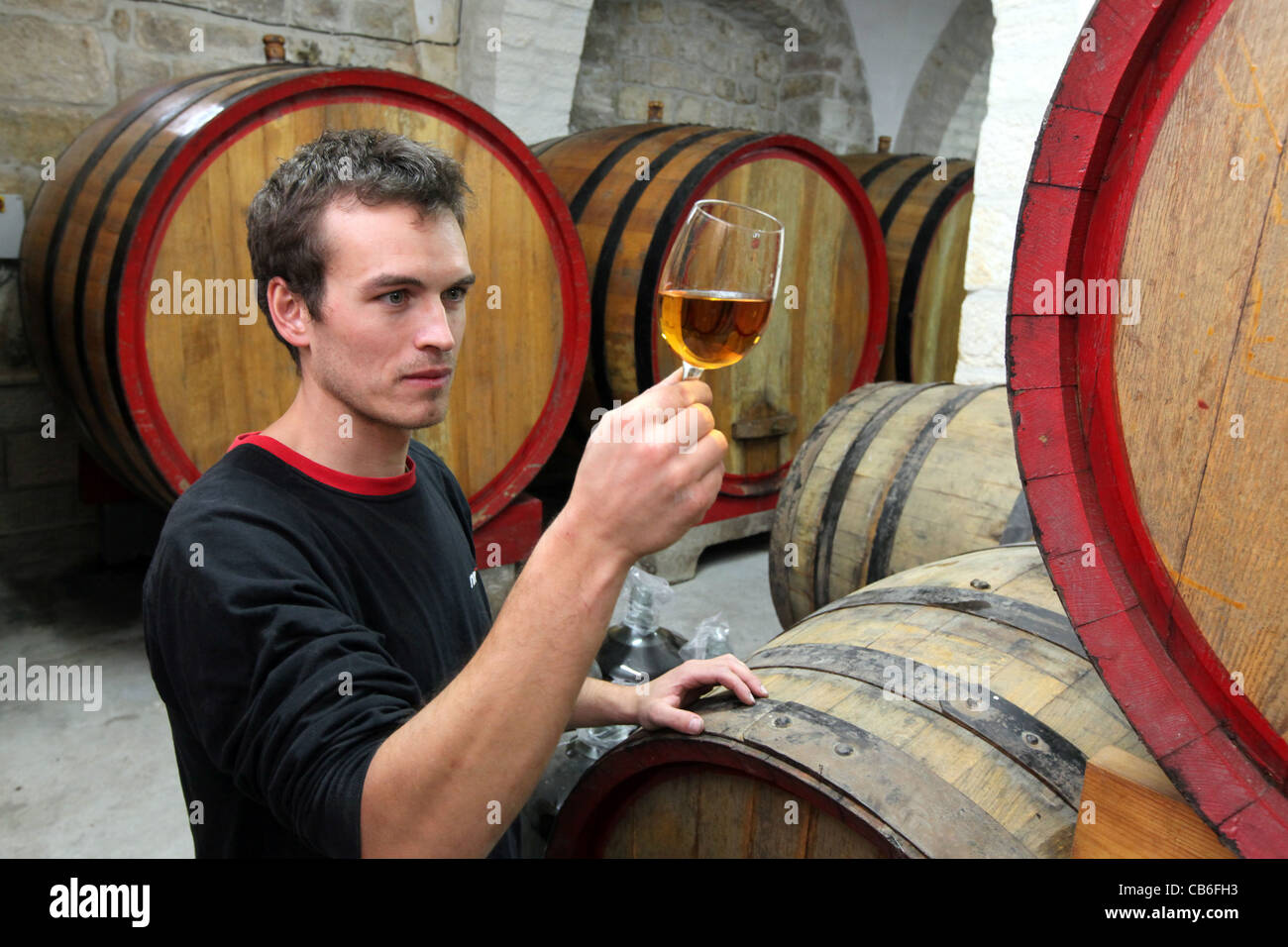 Winemaster tasting Brandy from Oak Barrels in the cellars of Cremisan Winery in Beit Jala near Bethlehem, Palestine Stock Photo