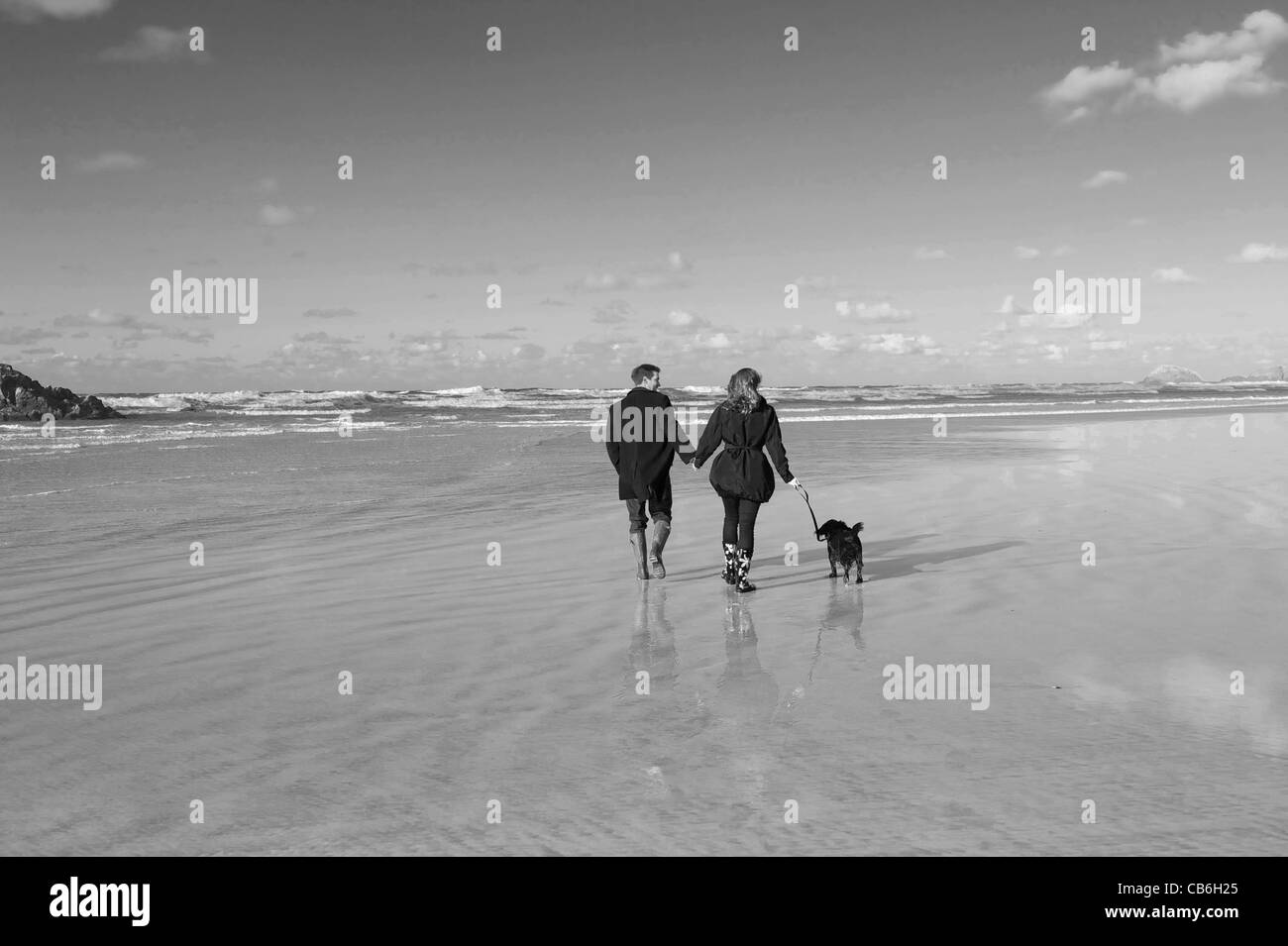 Young couple walking dog on a beach in winter. Stock Photo