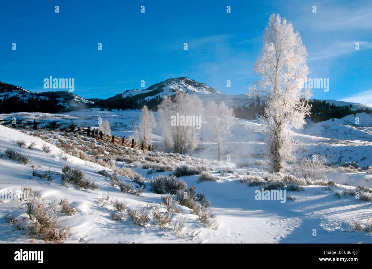 Winter, Yellowstone NP USA Stock Photo