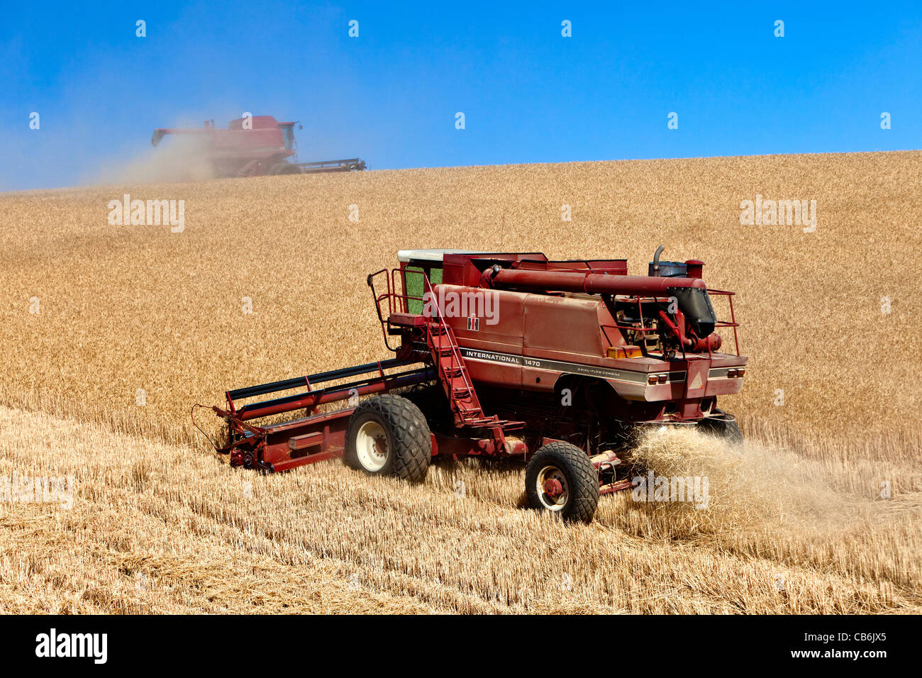 Combines harvesting wheat. Stock Photo