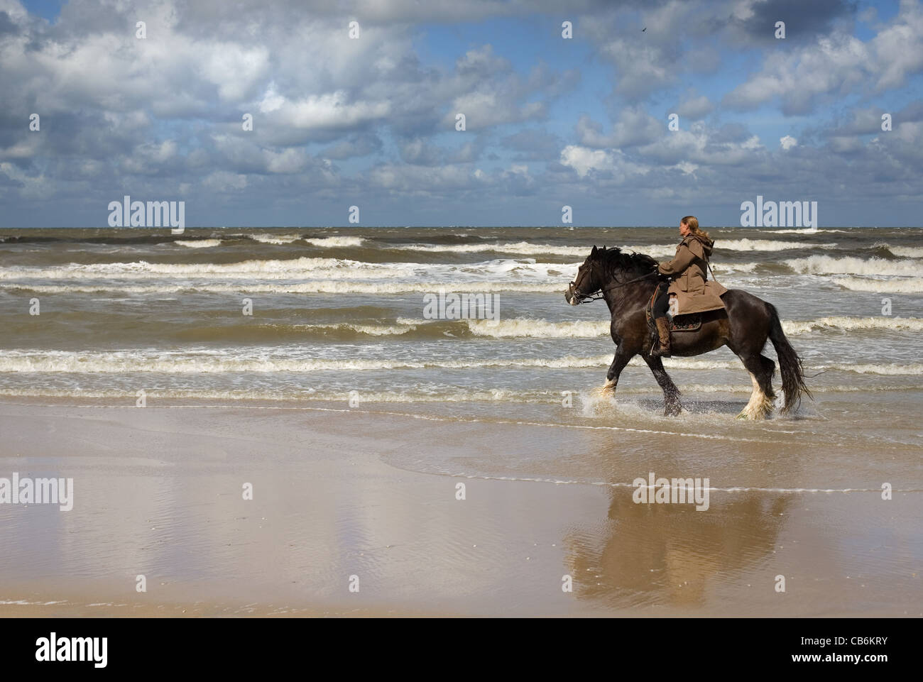 woman riding a horse on the beach of noordwijk Stock Photo