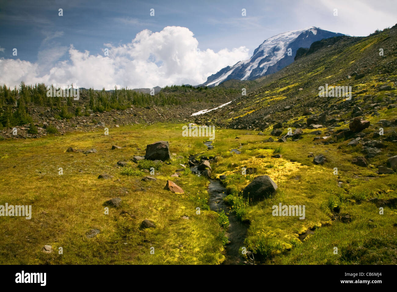 WASHINGTON Small stream running through an alpine meadow below the