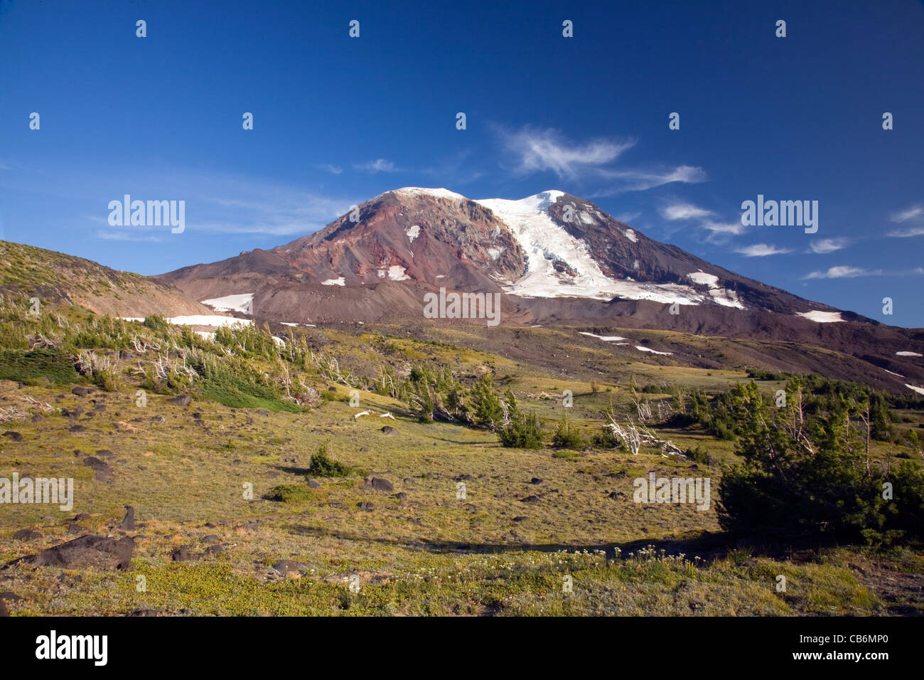 Washington Alpine Meadow At High Camp Below The Adams Glacier Climbing Route On Mount Adams In The Mount Adams Wilderness Area Washington Alpine Meadow At High Camp Below The Adams Glacier Climbing Route On Mount Adams In The Mount Adams Wilderness Area