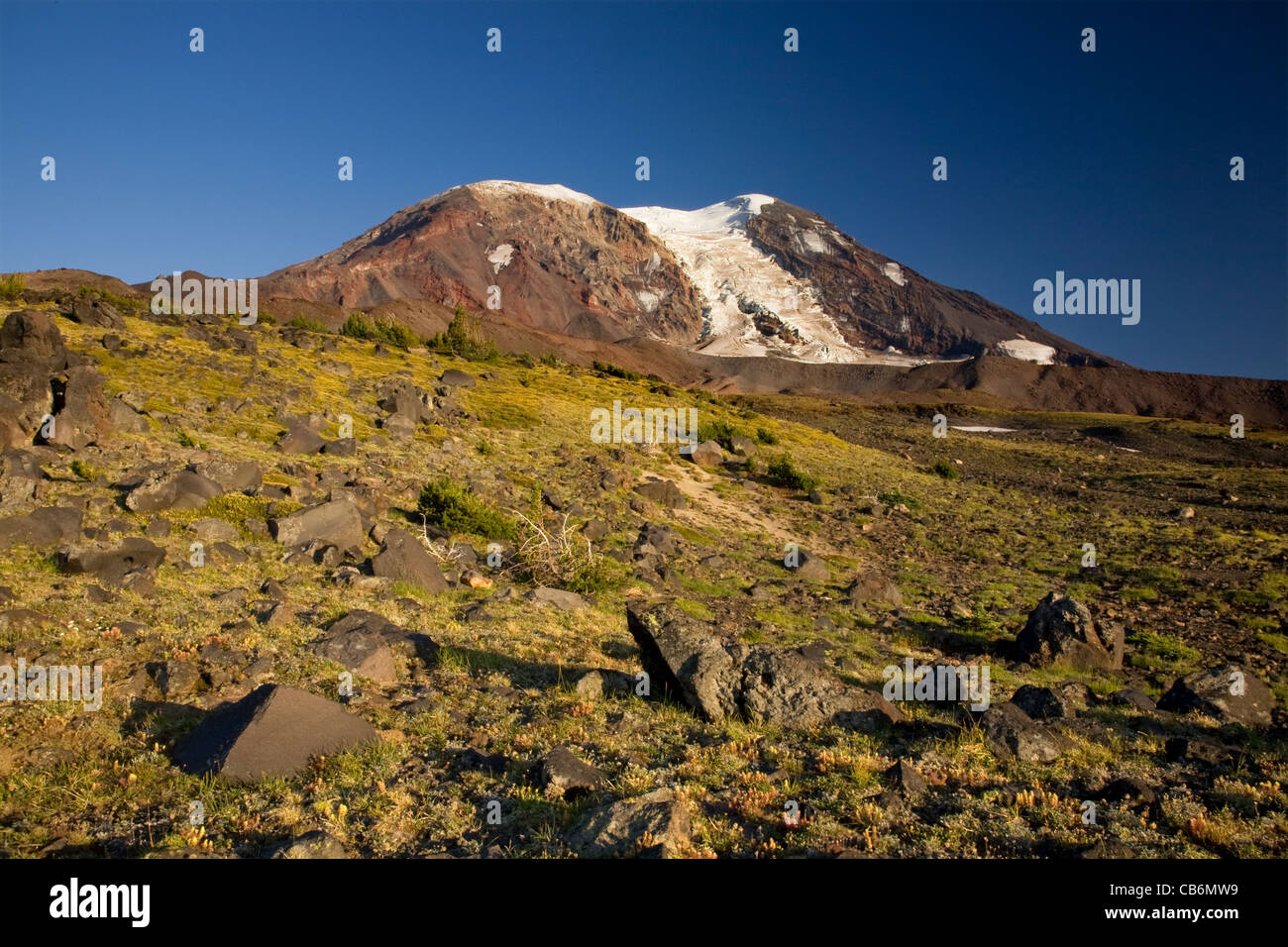 Alpine Meadow At High Camp Below The Adams Glacier Climbing Route On Mount Adams In The Mount Adams Wilderness Area Alpine Meadow At High Camp Below The Adams Glacier Climbing Route On Mount Adams In The Mount Adams Wilderness Area