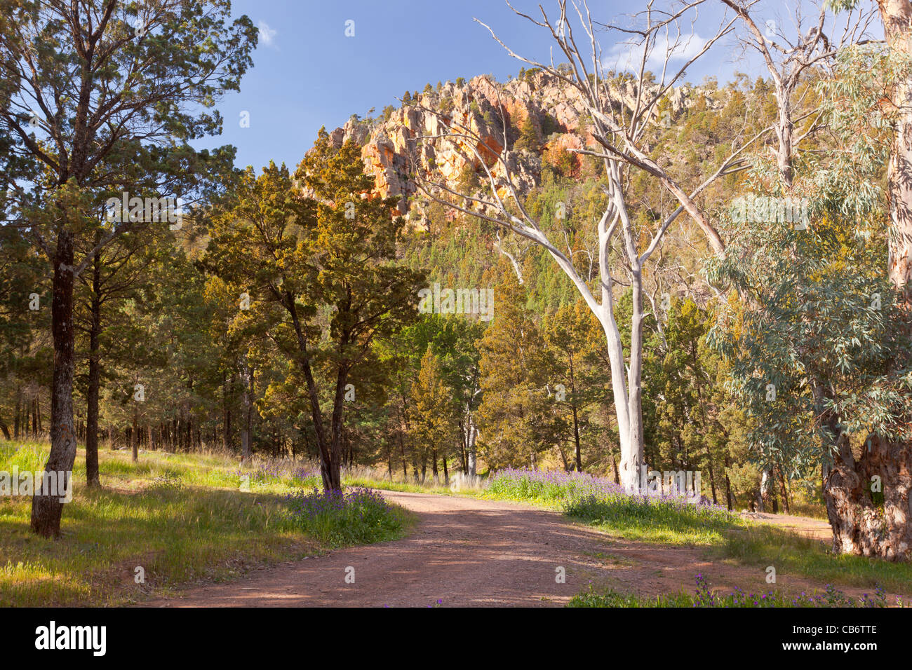 Spectacular scenery in Warren Gorge near Quorn in the southern Flinders Ranges in outback South Australia Stock Photo