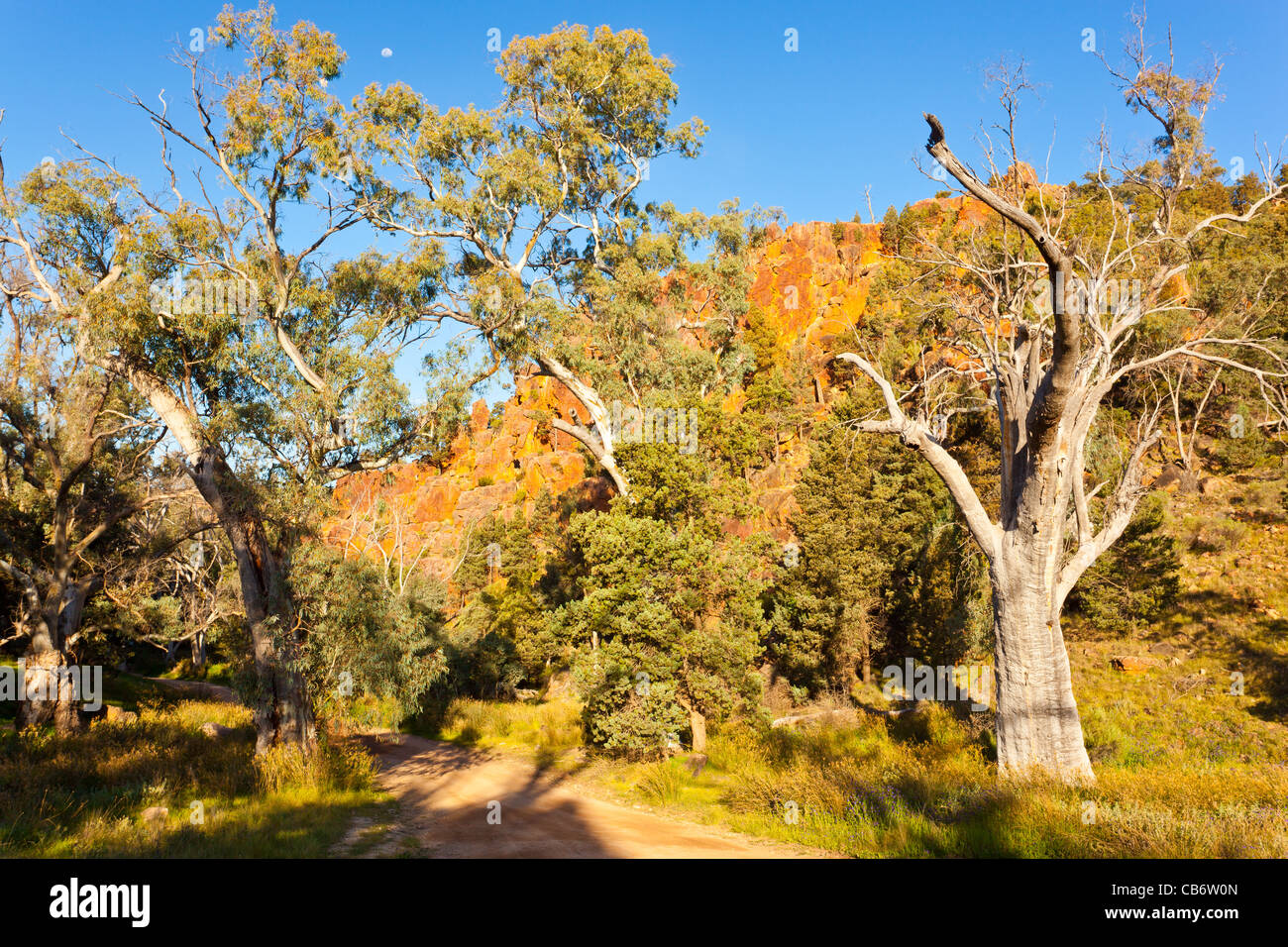 Spectacular scenery in Warren Gorge near Quorn in the southern Flinders Ranges in outback South Australia Stock Photo