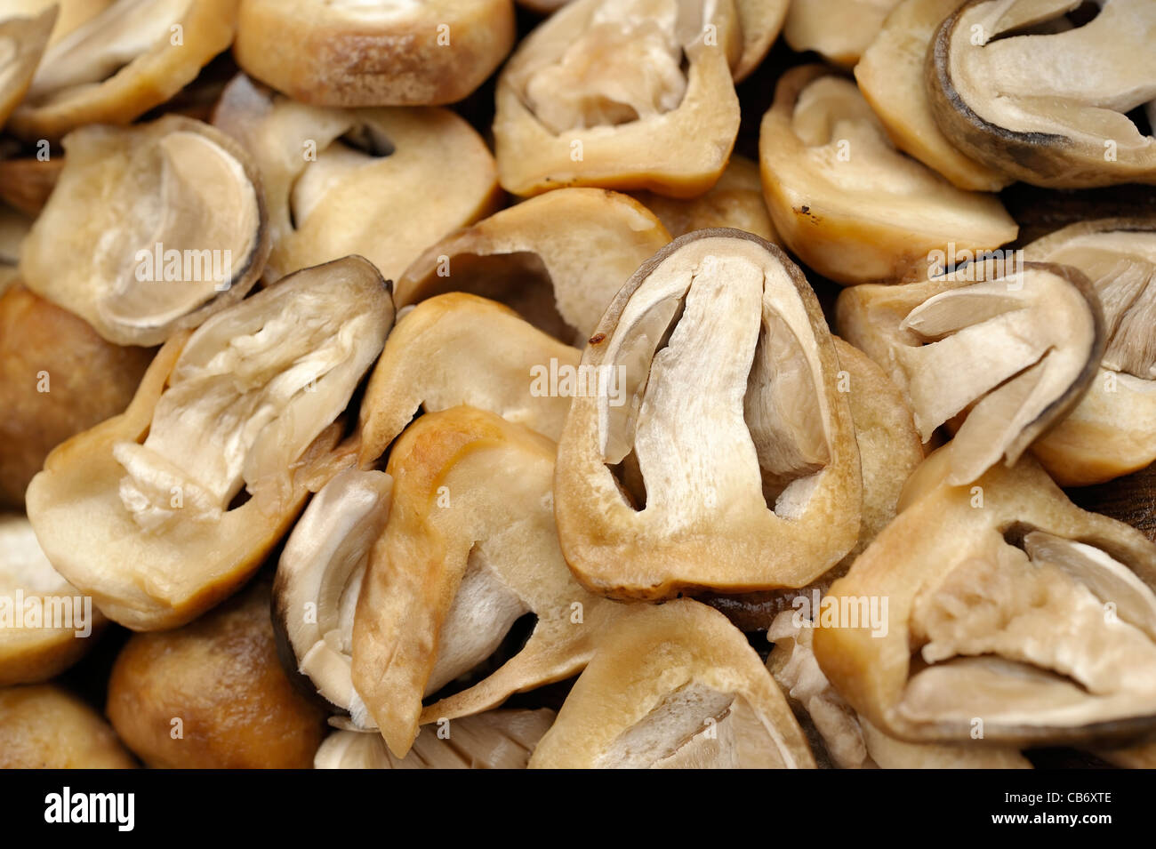 Macro shot of straw mushrooms washed and cut, prepared as cooking ingredients. Stock Photo