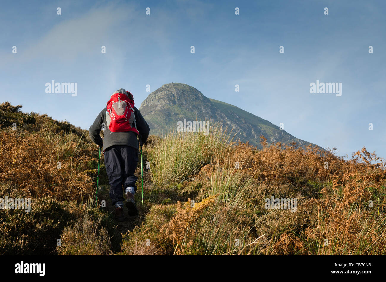 Fell walker approaching Causey Pike in the Lake District Stock Photo