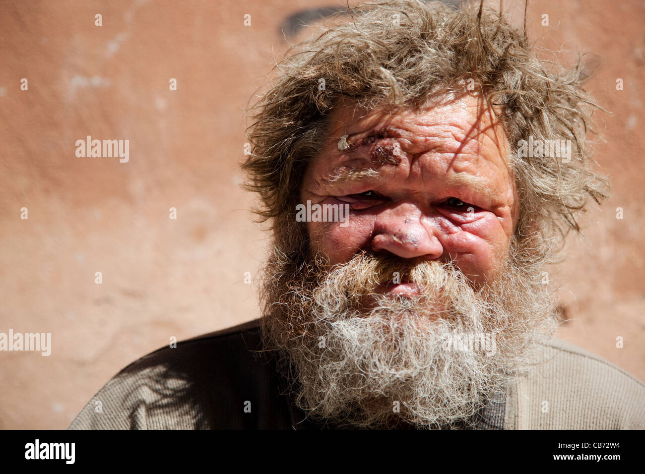 Hobo Hobo
