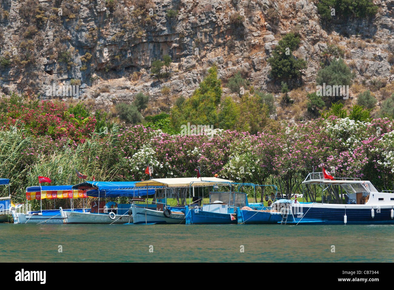 Boat trips in Dalyan River Fethiye Turkey Stock Photo