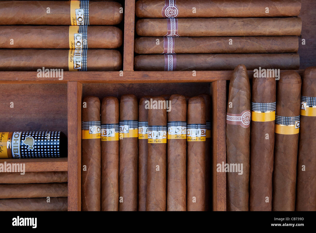 Cigars cohiba cuba havana hi-res stock photography and images - Alamy