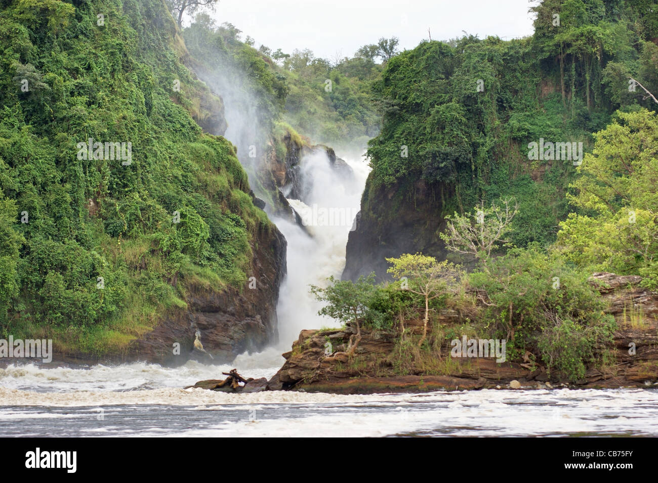 the Murchison Falls in Uganda (Africa) Stock Photo