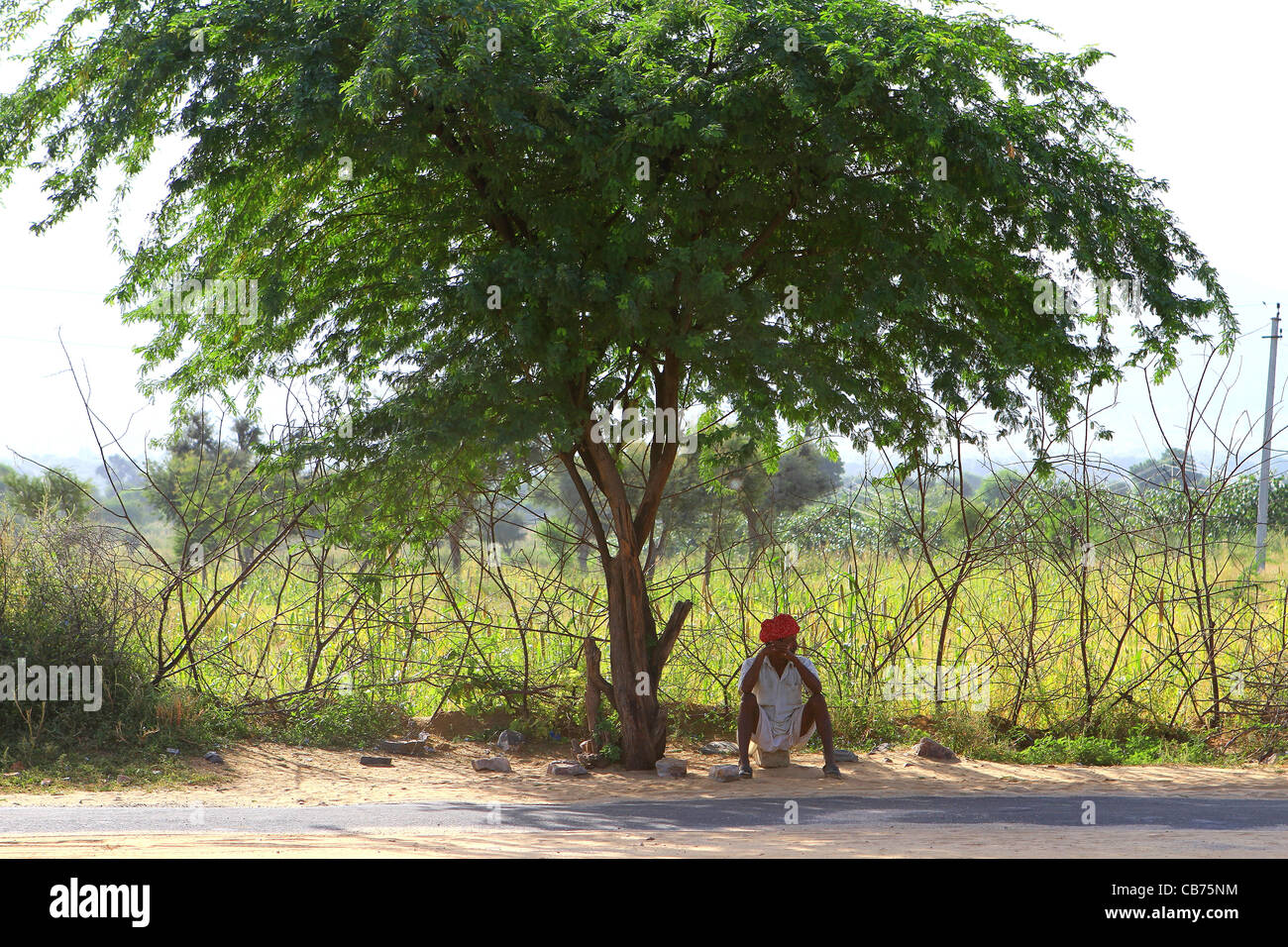 Man sitting under shade tree hires stock photography and images Alamy