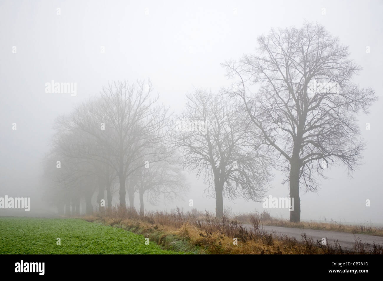 Visibility effect hi-res stock photography and images - Alamy