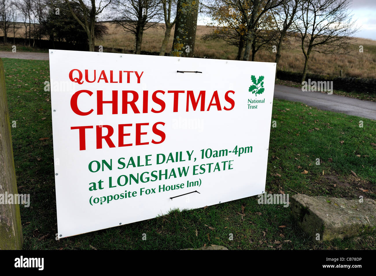 Christmas trees for sale sign derbyshire england uk Stock Photo Alamy