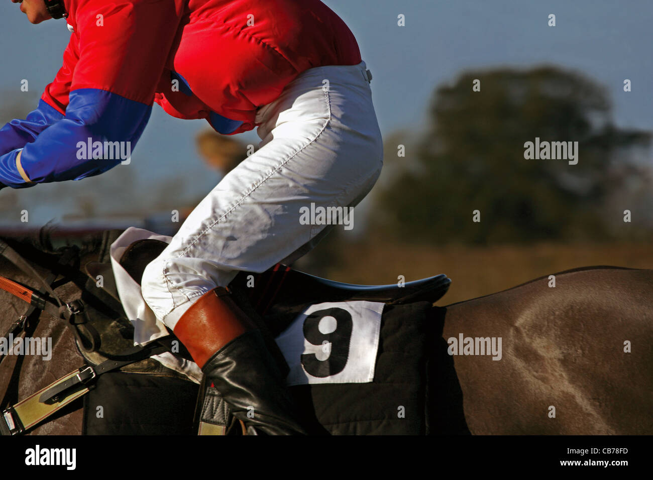 Rider pictured during point-to-point horse racing event over jumps ...