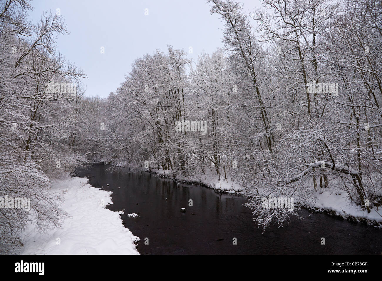 Snow covered woods hi-res stock photography and images - Alamy
