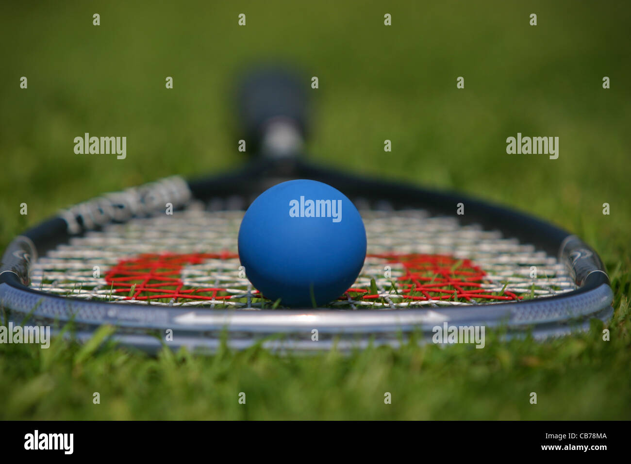 Squash racket and ball, Stock Photo