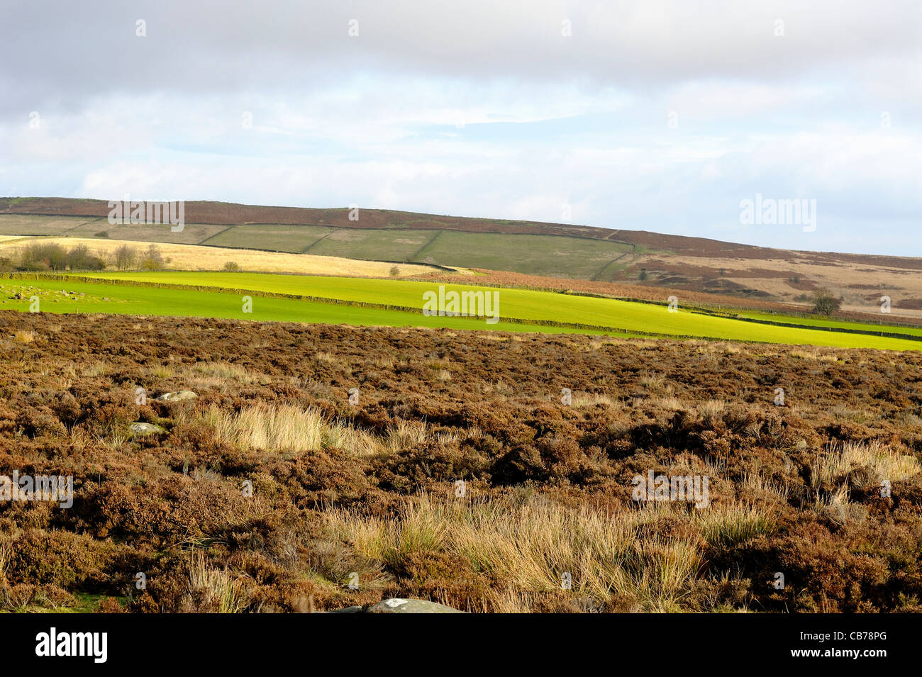 strip of green field baslow edge derbyshire peak district england uk Stock Photo