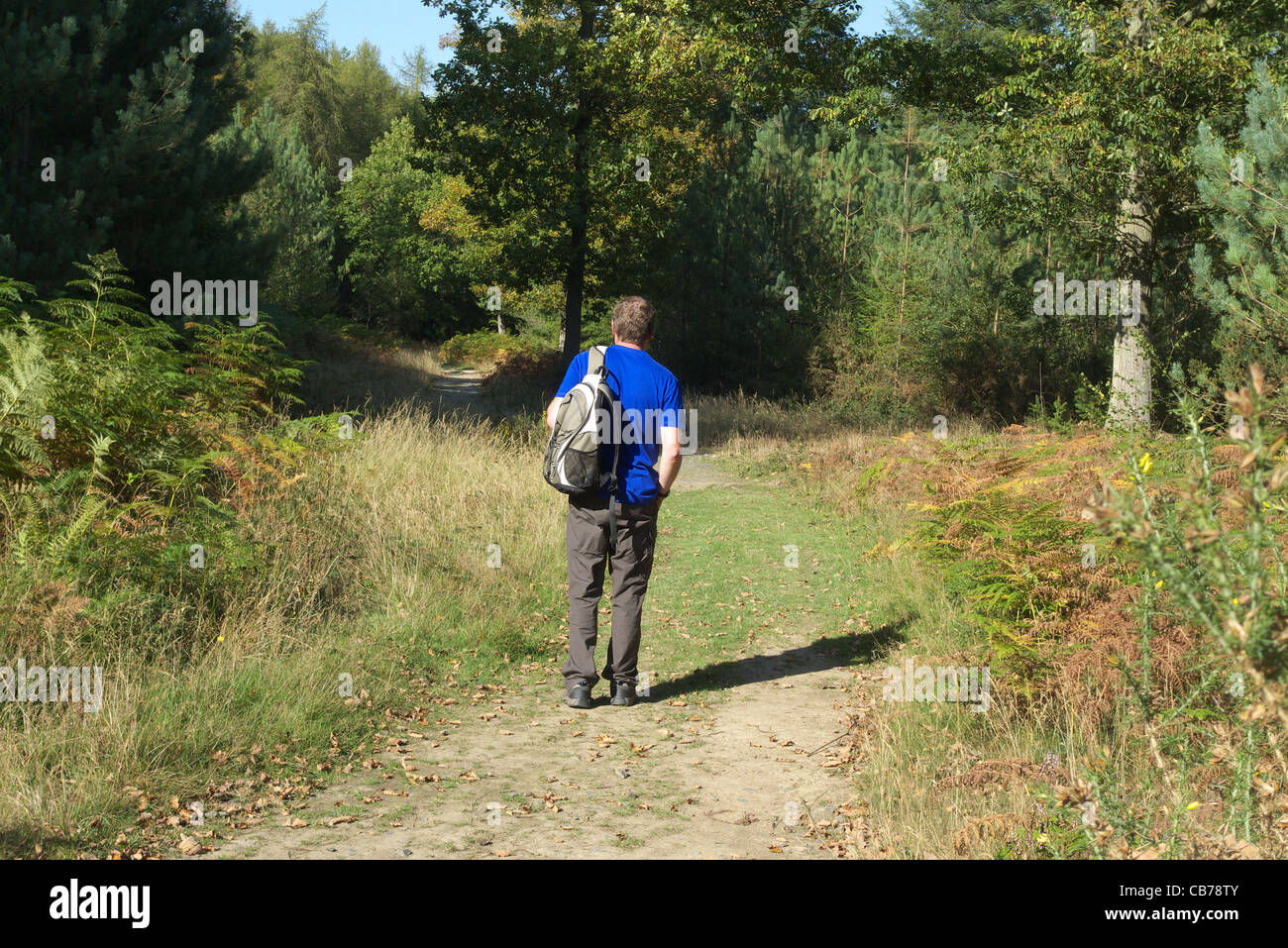 Caucasian Adult Male walker Walking Through The Wyre Forest