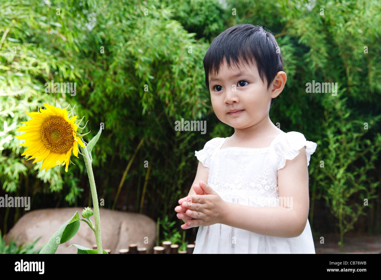 Little girl with a sunflower Stock Photo - Alamy