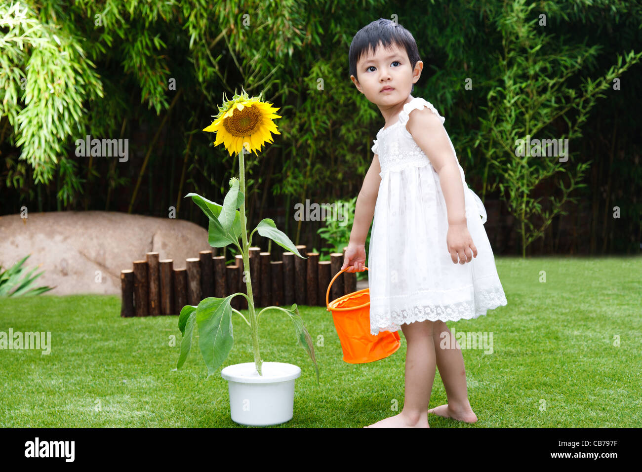 Little girl with a sunflower Stock Photo - Alamy
