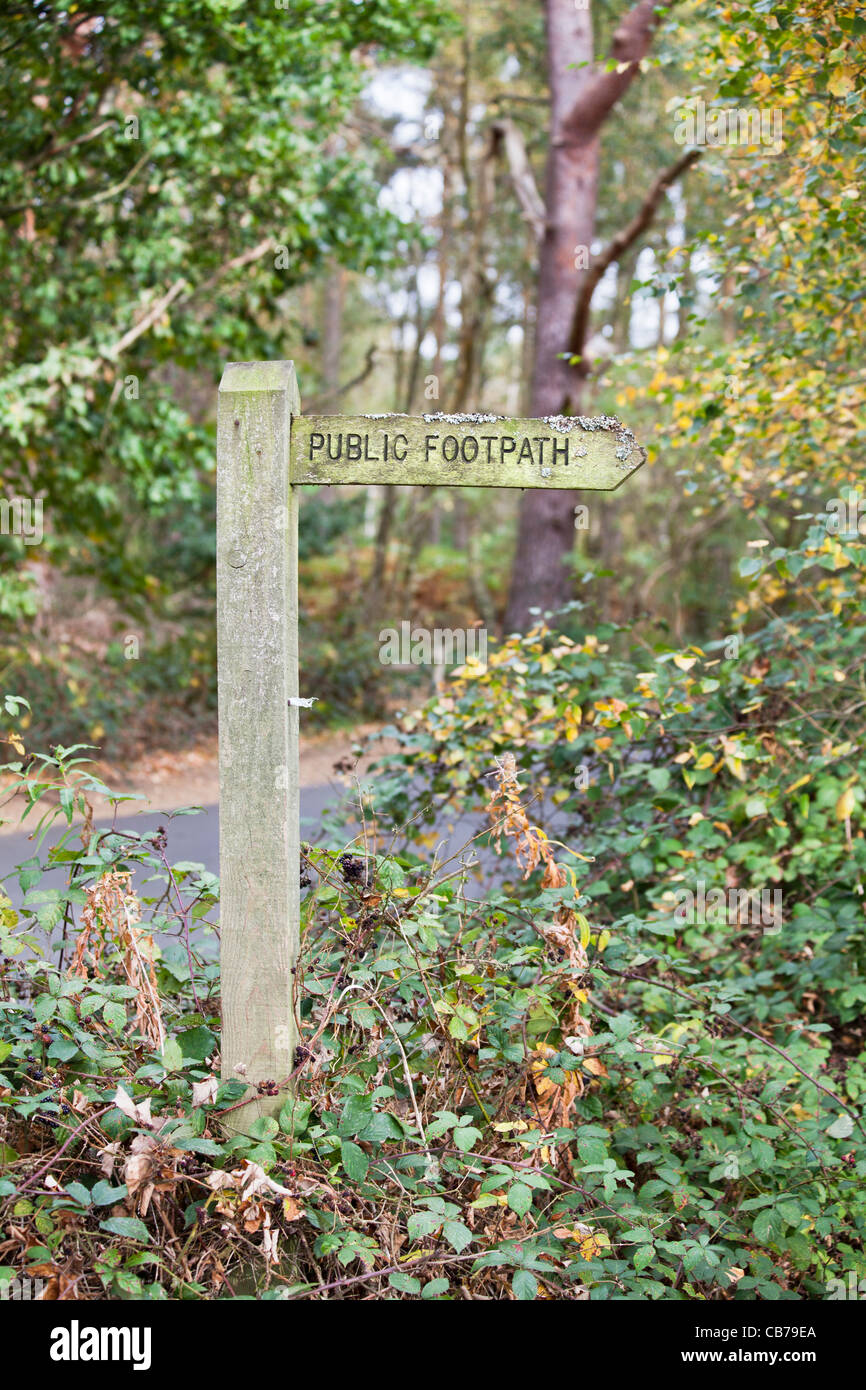 Traditional wooden finger post pointing to public footpath, with lichen growth, situated near Frensham Little Pond, Surrey, UK Stock Photo