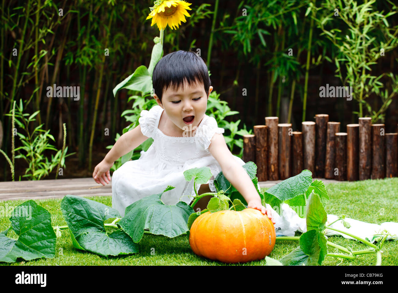 Little girl with a sunflower Stock Photo - Alamy