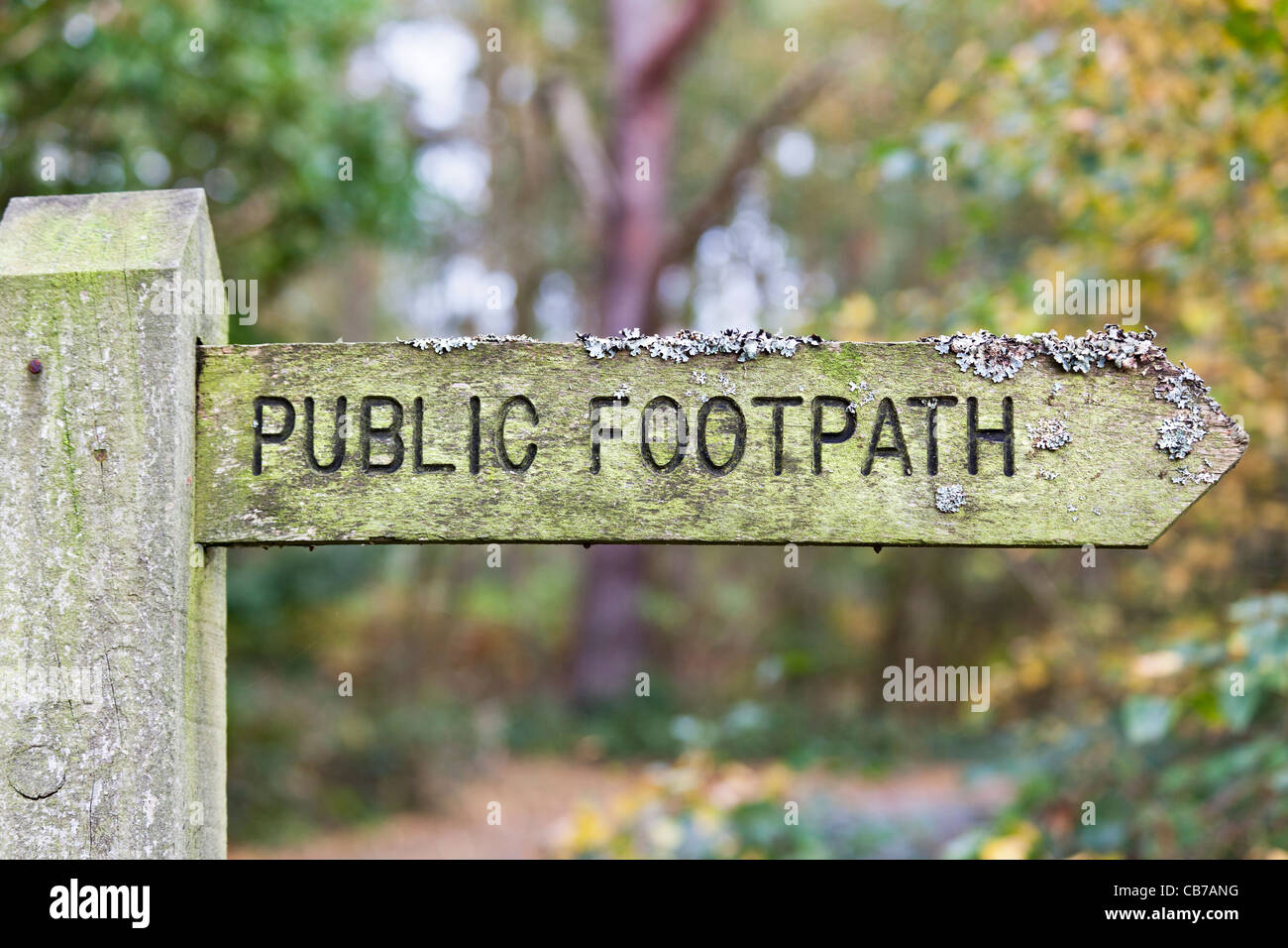 Traditional wooden finger post pointing to public footpath, with lichen growth, situated near Frensham Little Pond in Surrey Stock Photo