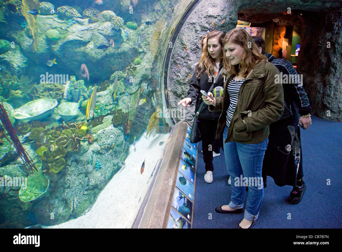 Behind the Scenes Tour of Aquarium of the Pacific. Plastics are Forever