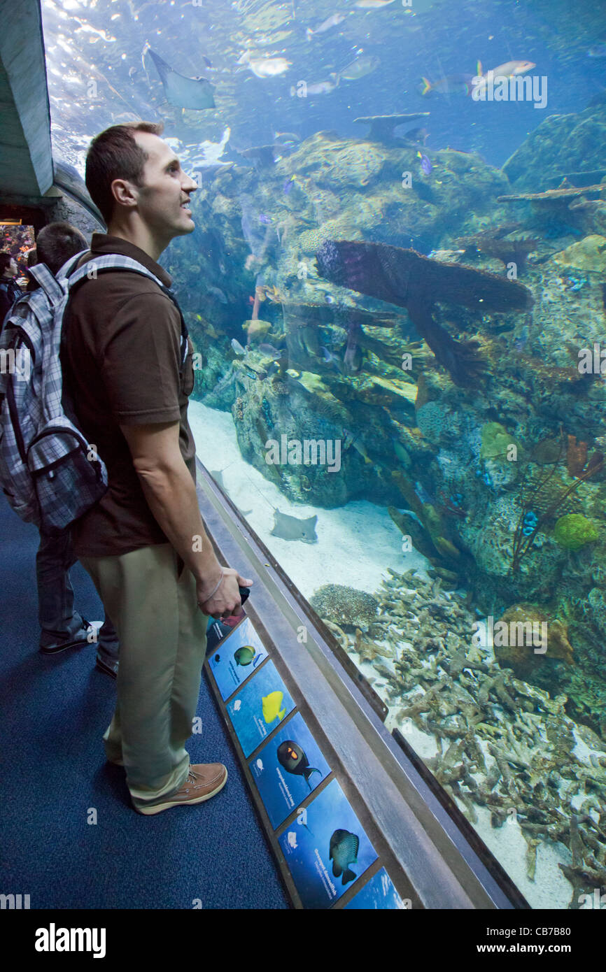 Behind the Scenes Tour of Aquarium of the Pacific. Plastics are Forever