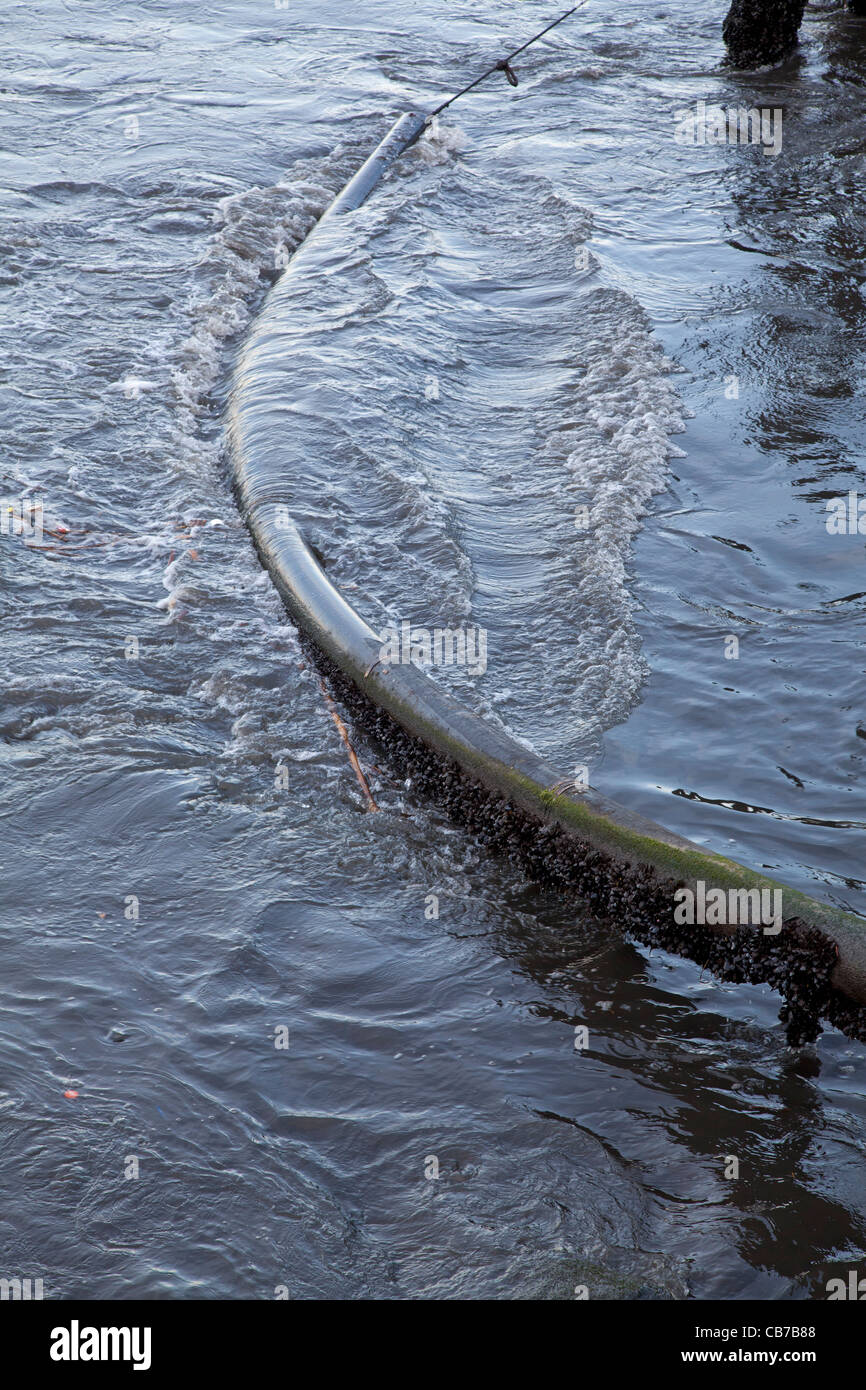 Surge from Japan Tsunami after earthquake rocks marina in Long Beach Harbor, Long Beach, California Stock Photo