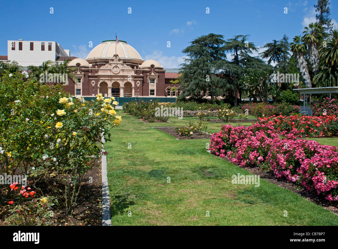 exposition park rose garden exposition park rose garden