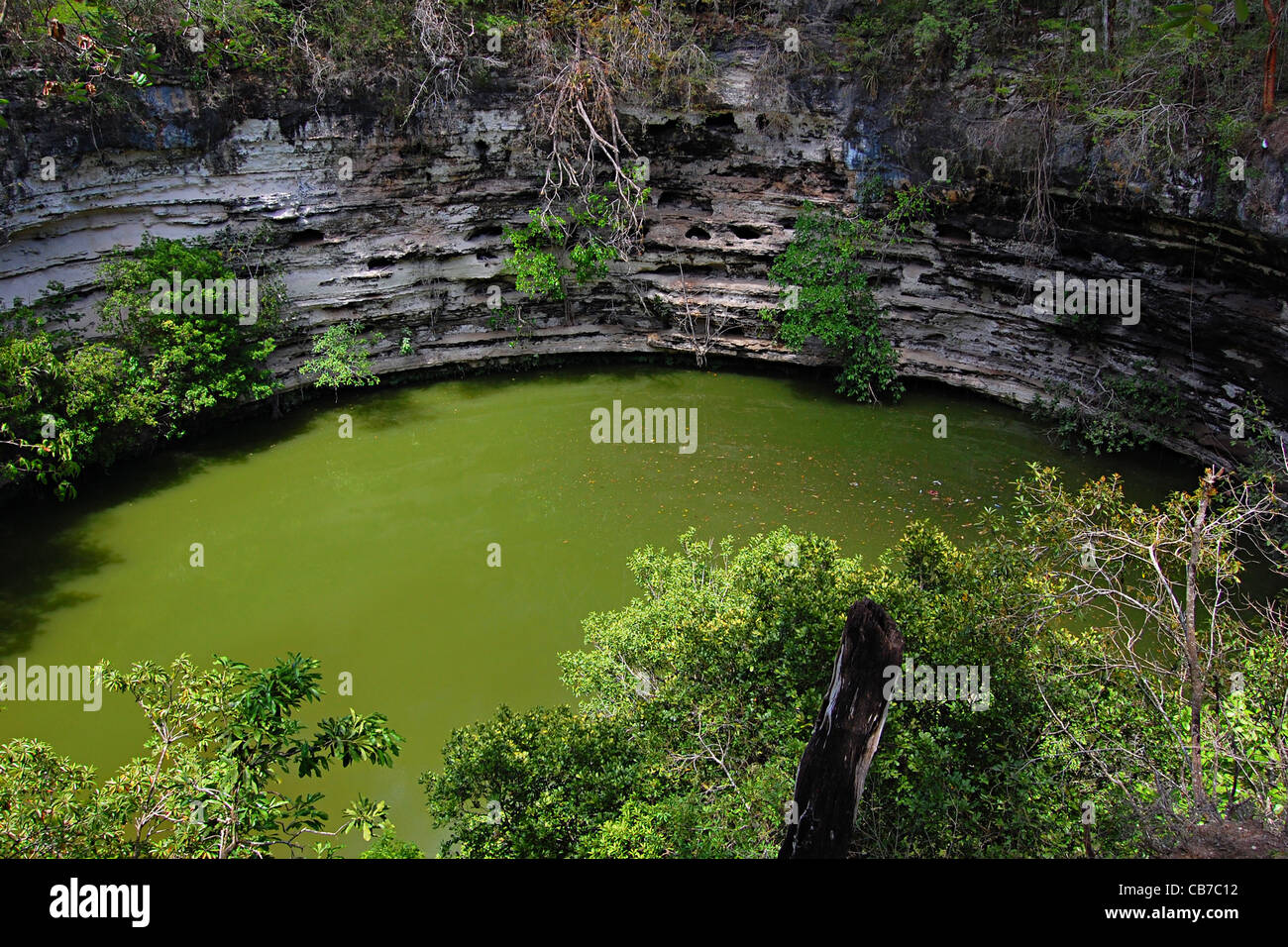 Sacred Cenote, Chichen Itza, Mexico Stock Photo