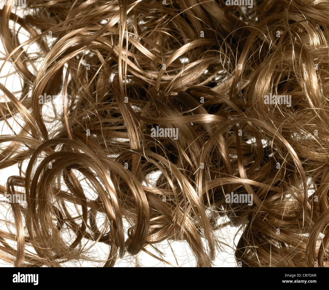 Curly hairy back hair hi-res stock photography and images - Alamy