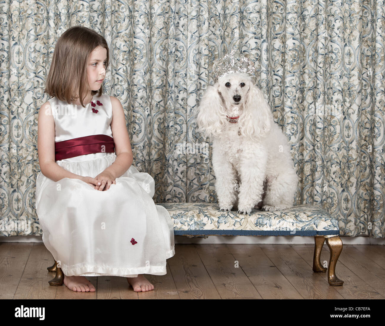 Pretty Poodle Princess