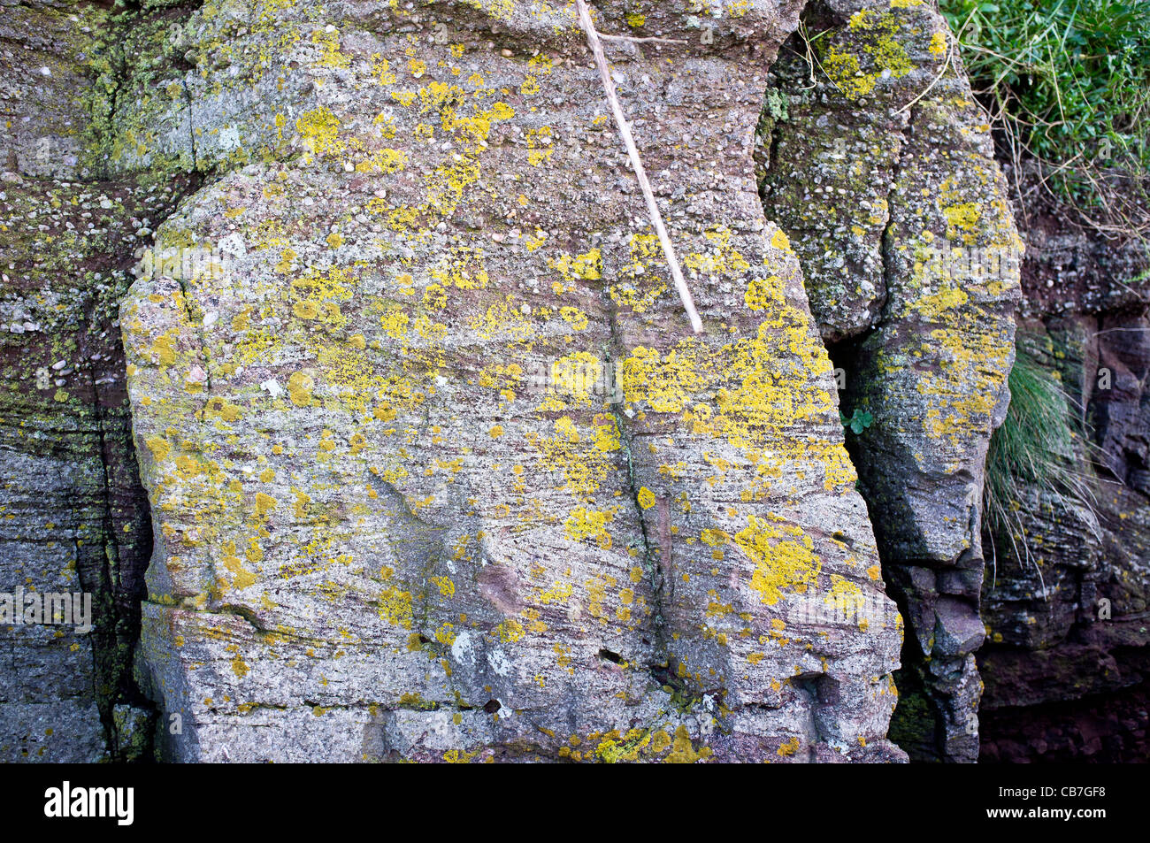 Cross bedding in the Old Red Sandstones of Portishead Cliff (Kilkenny Bay) Stock Photo