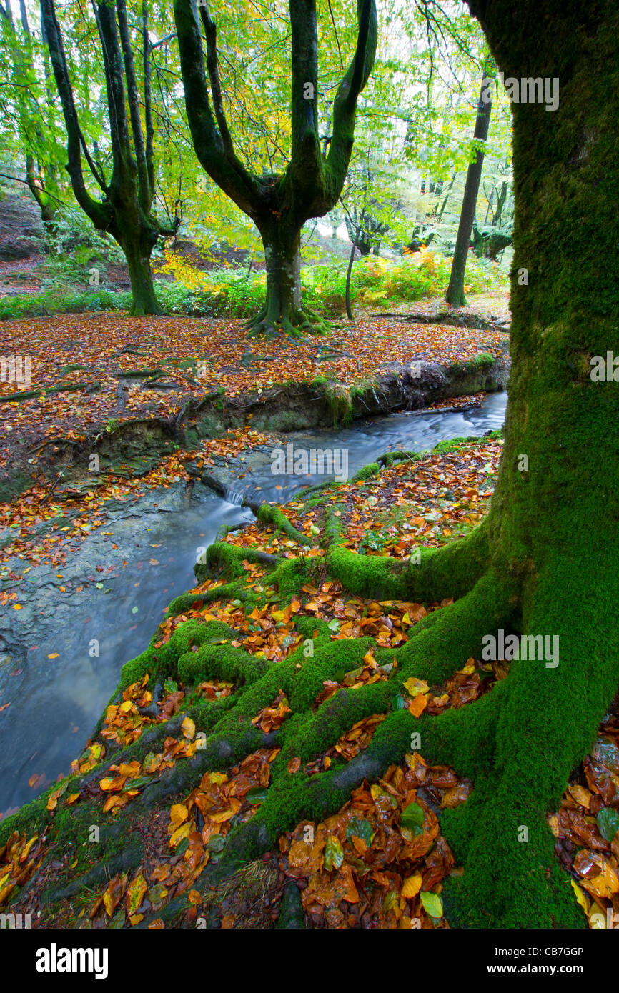 Barazar hi-res stock photography and images - Alamy