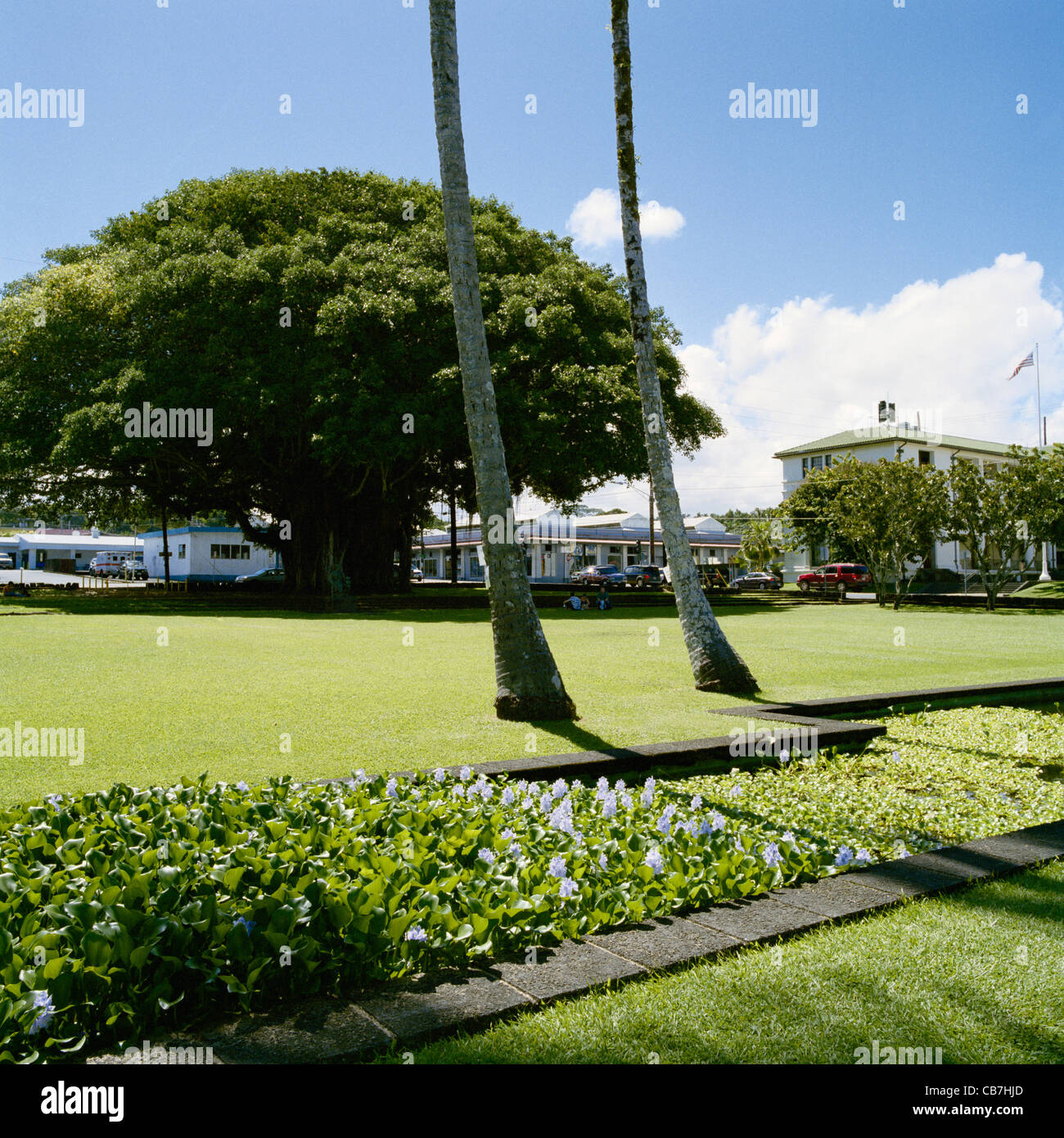 Kalakaua hires stock photography and images Alamy