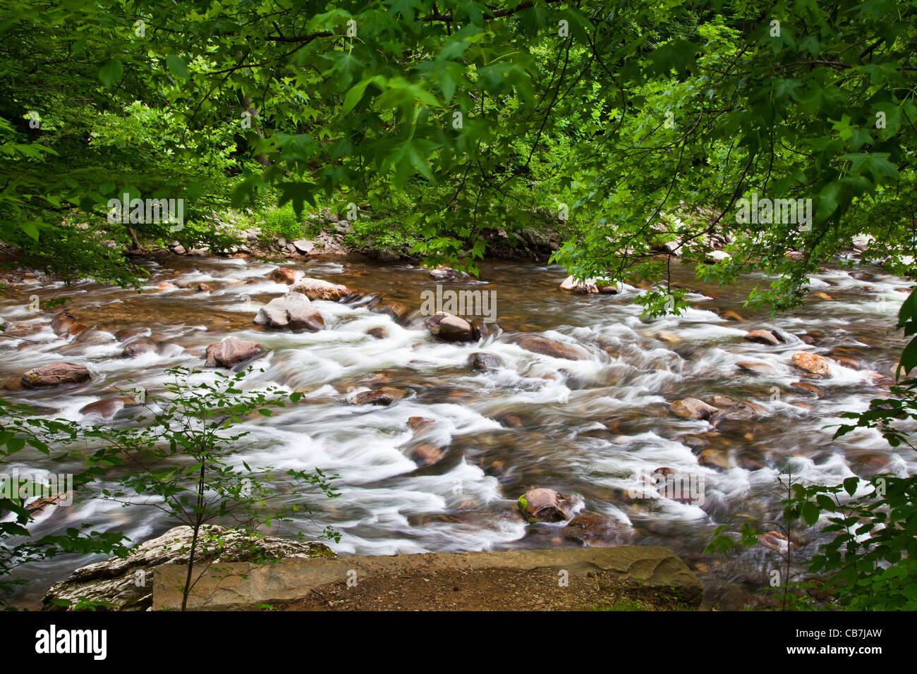 Fast flowing current on the Little River (near Townsend) in the Great Smoky Mountains National Park in Tennessee. Stock Photo
