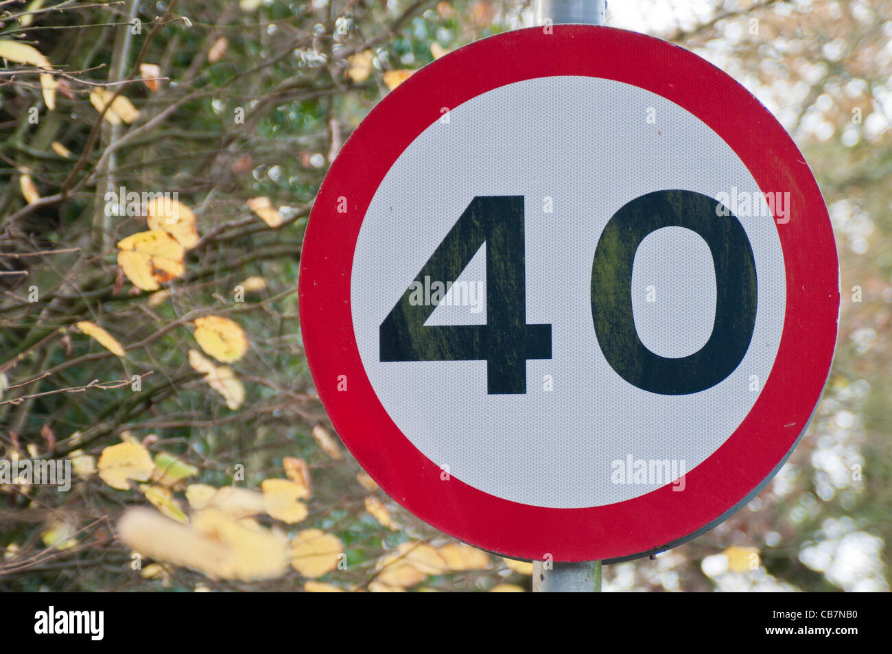 Дорожные знаки 40 км. Знак 40 км ч. Дорожные знаки ограничение скорости. Дорожный знак 3.24 40. Ограничение 40 дорожный знак.