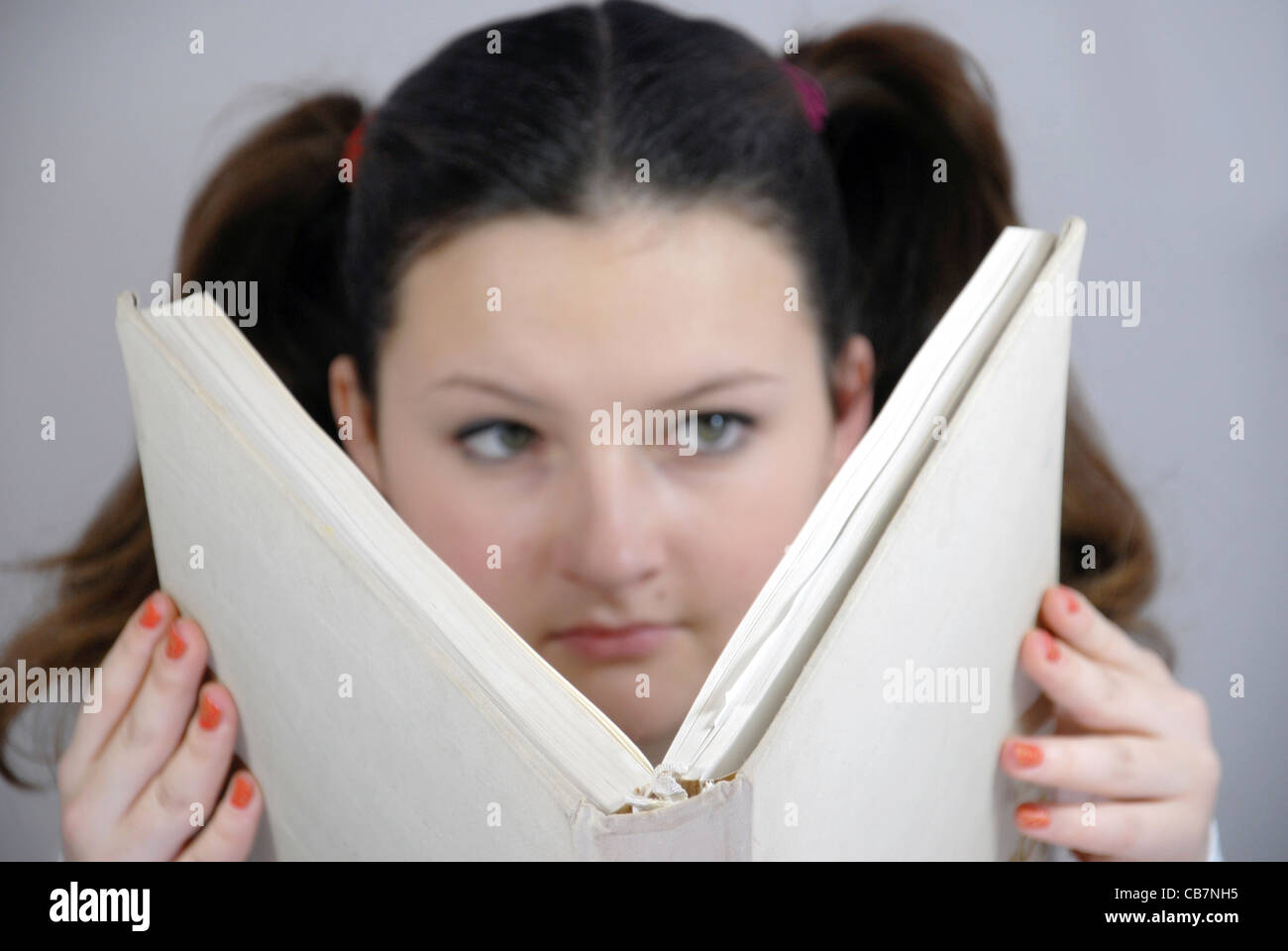 student does homework, lessons, read books, school Stock Photo