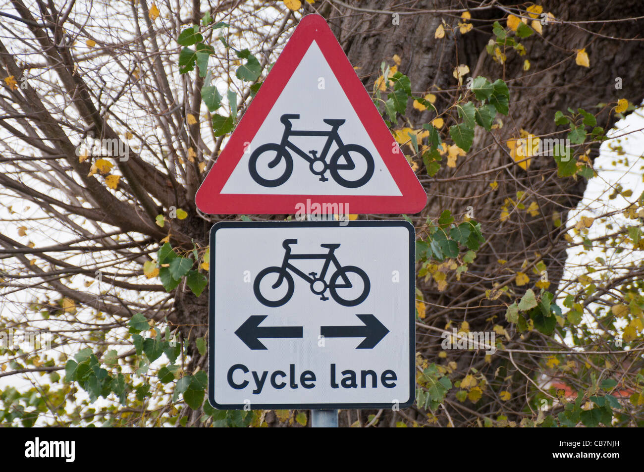 UK Cycle lane road sign Stock Photo Alamy