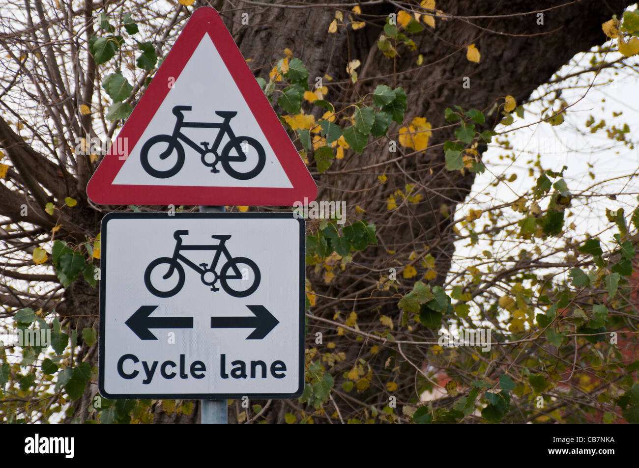UK Cycle lane road sign Stock Photo Alamy
