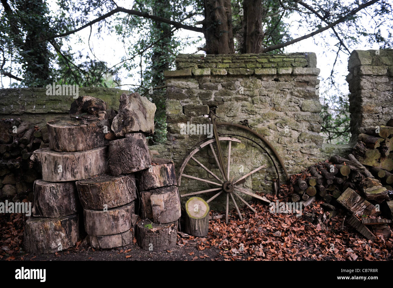 An old Penny Farthing left rusting by a garden wall UK Stock Photo - Alamy