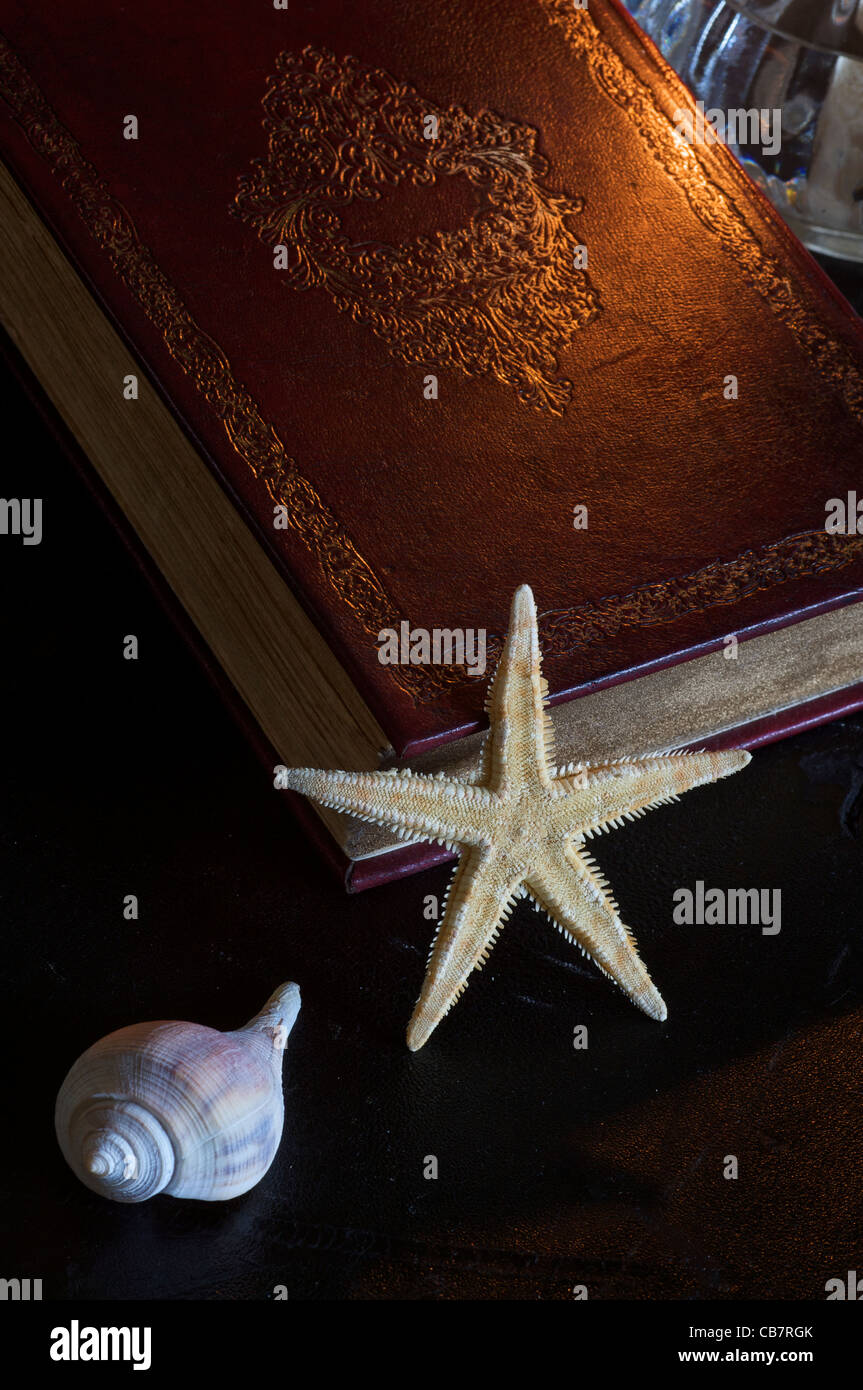 Shell and starfish by candlelight with book by Jim Crotty Stock Photo