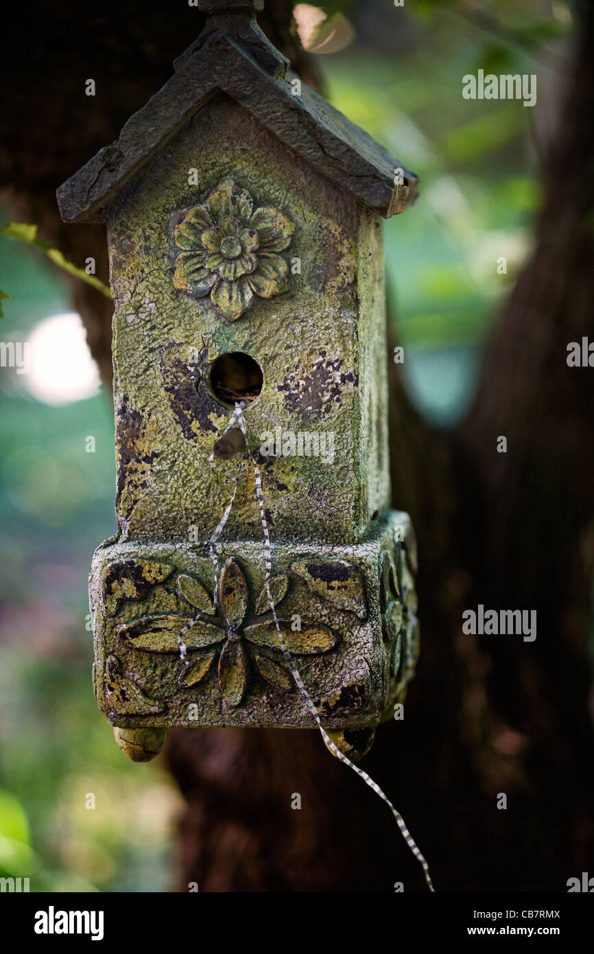 Birdhouse in garden during summer by Jim Crotty Stock Photo