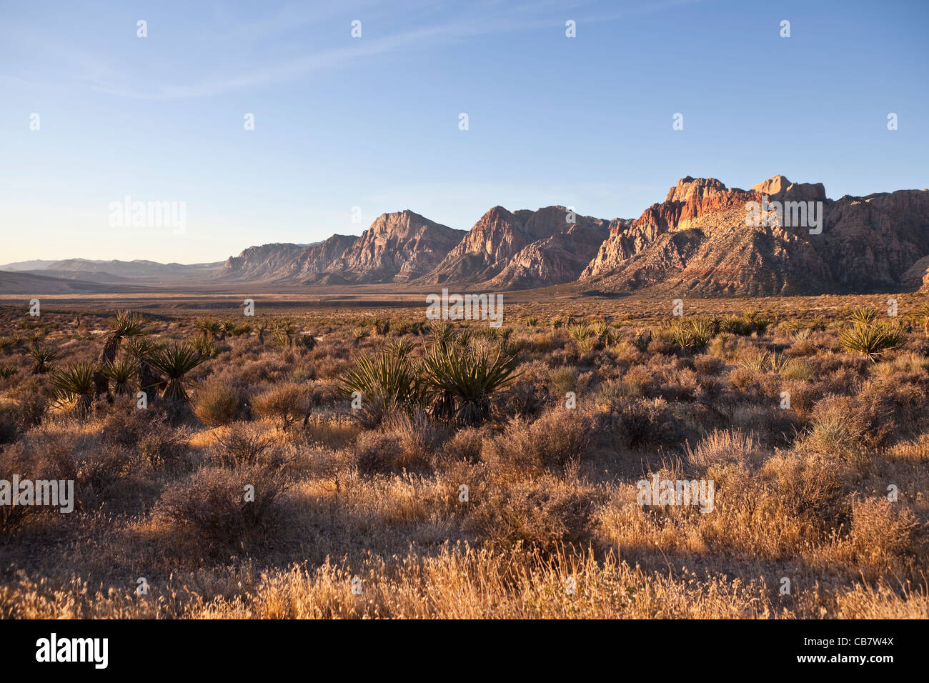 Red Rock Nevada in warm early morning light Stock Photo Alamy