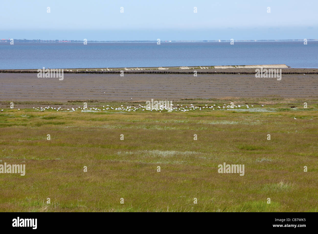 The North German Wadden Sea and nature reserve near Neuharlingersiel ...